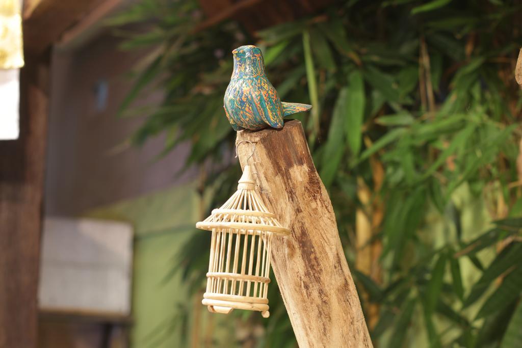 Green Bird Villa - Chse Certified Ubud  Luaran gambar